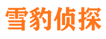 云龙市侦探公司